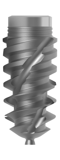 Nexus-D dental root